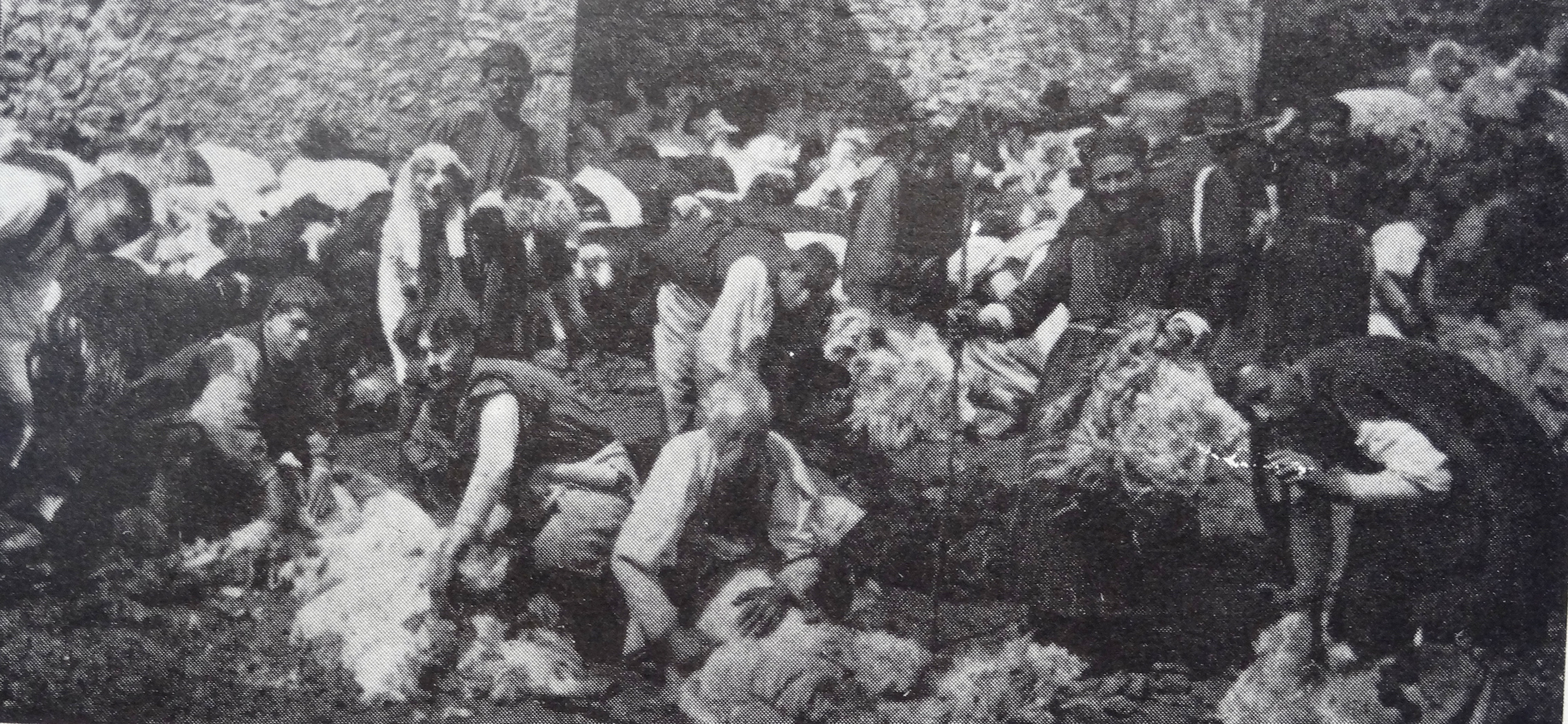 The shepherd,  1906. Bros Manakia
